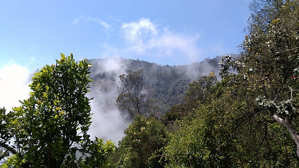 Moir Point Kodaikanal