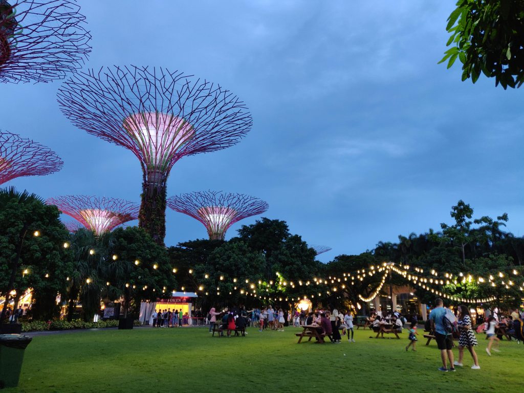 Gardens by the Bay in singapore during evening
