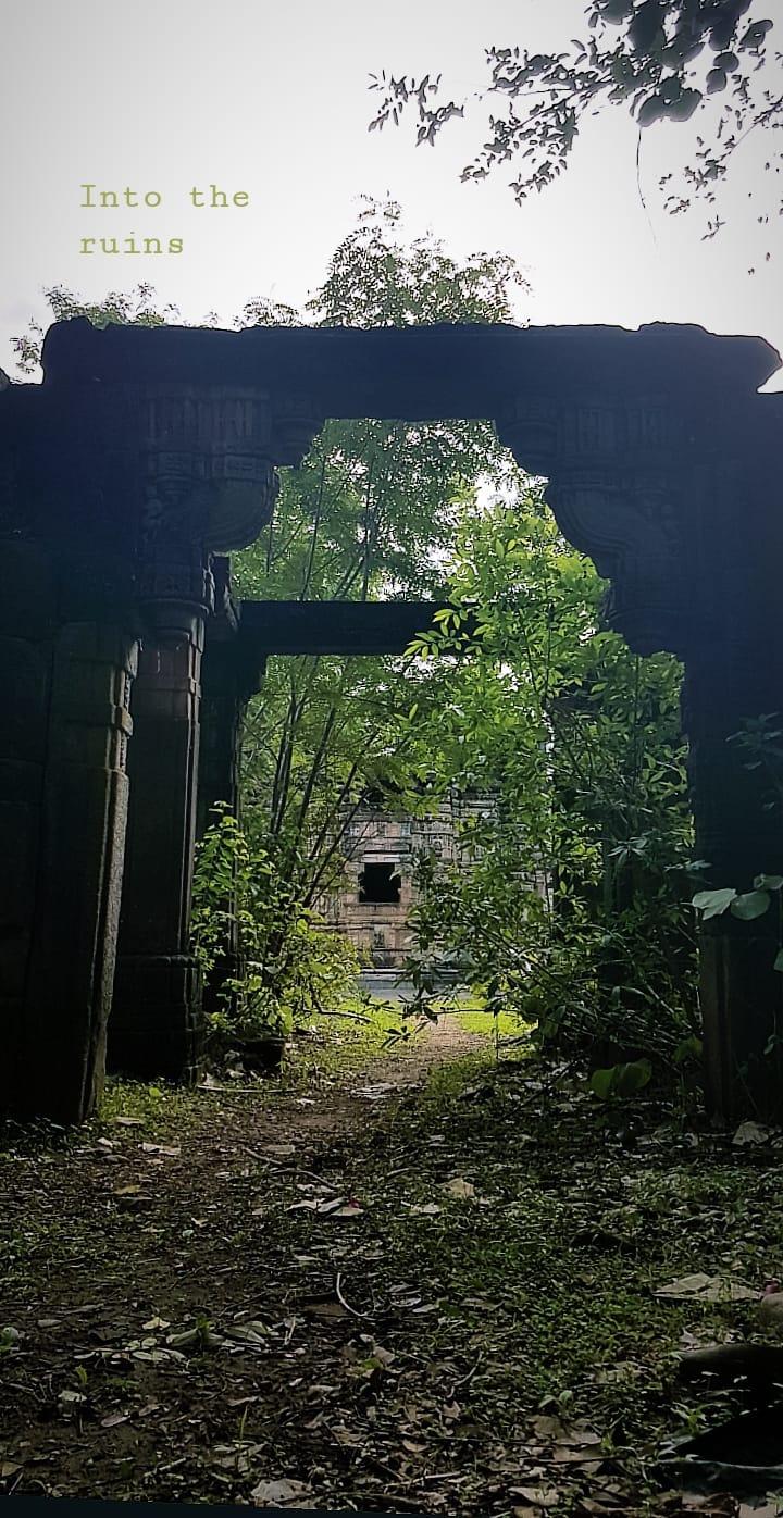 Polo Forest Ruins