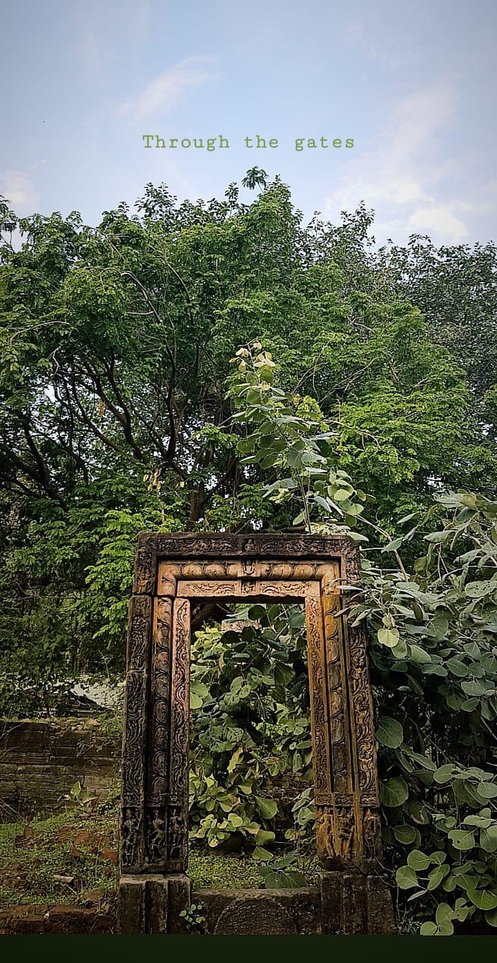 Polo Forest Ruins