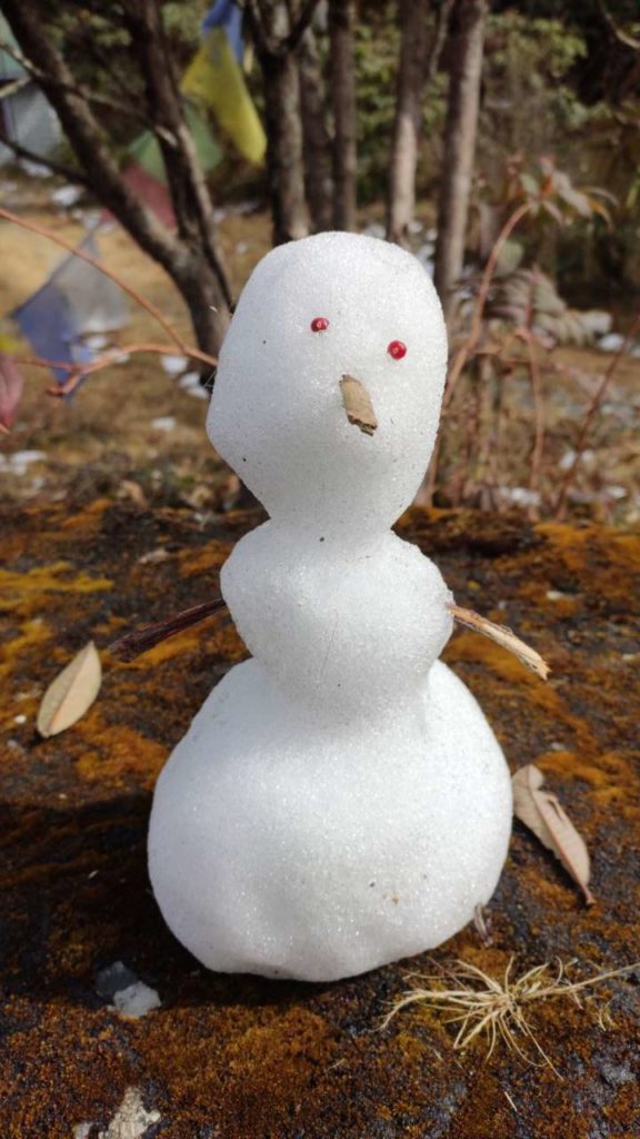 Rhodenderon Sanctuary Top - a mini snowman