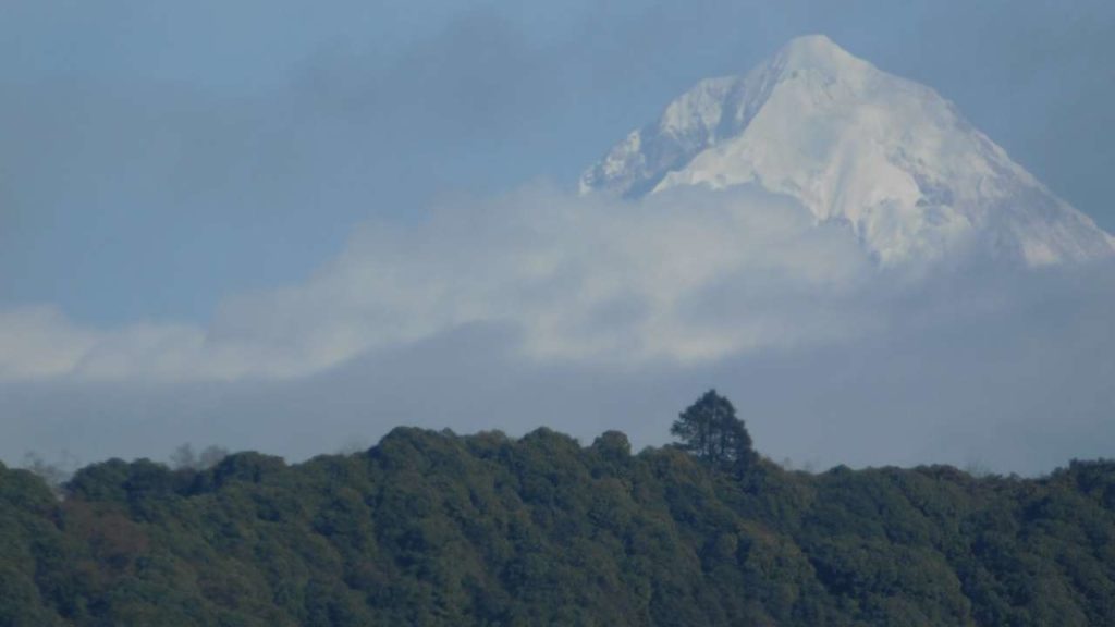 Kanchenjunga Mountain view from near the top of Rhodenderon Sanctuary