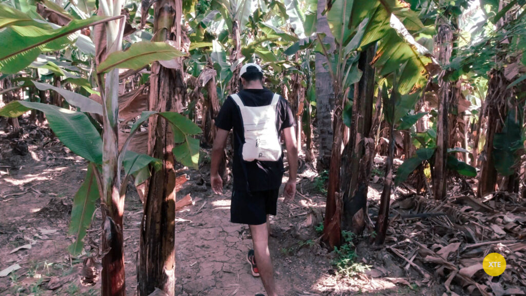 Hiking through banana plantations towards Hampi Waterfalls