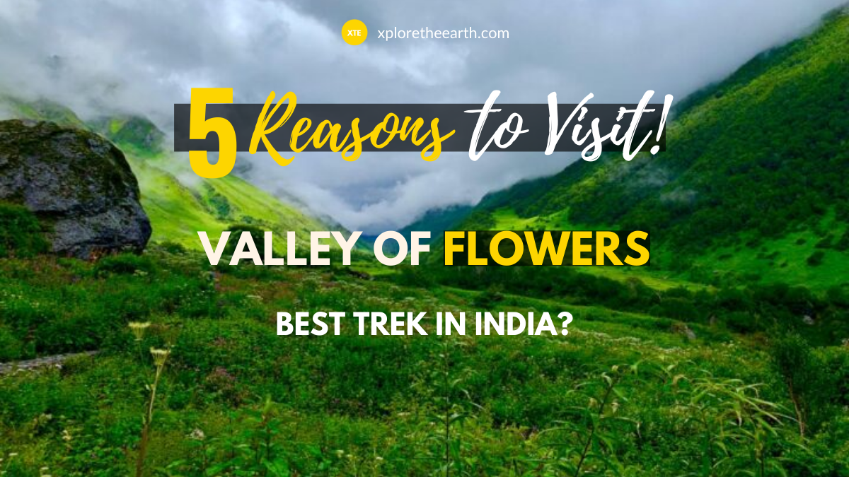Featured Image for why not to miss Valley of Flowers
