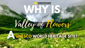 Read more about the article Why is Valley of Flowers National Park in Uttarakhand, A World Heritage Site?