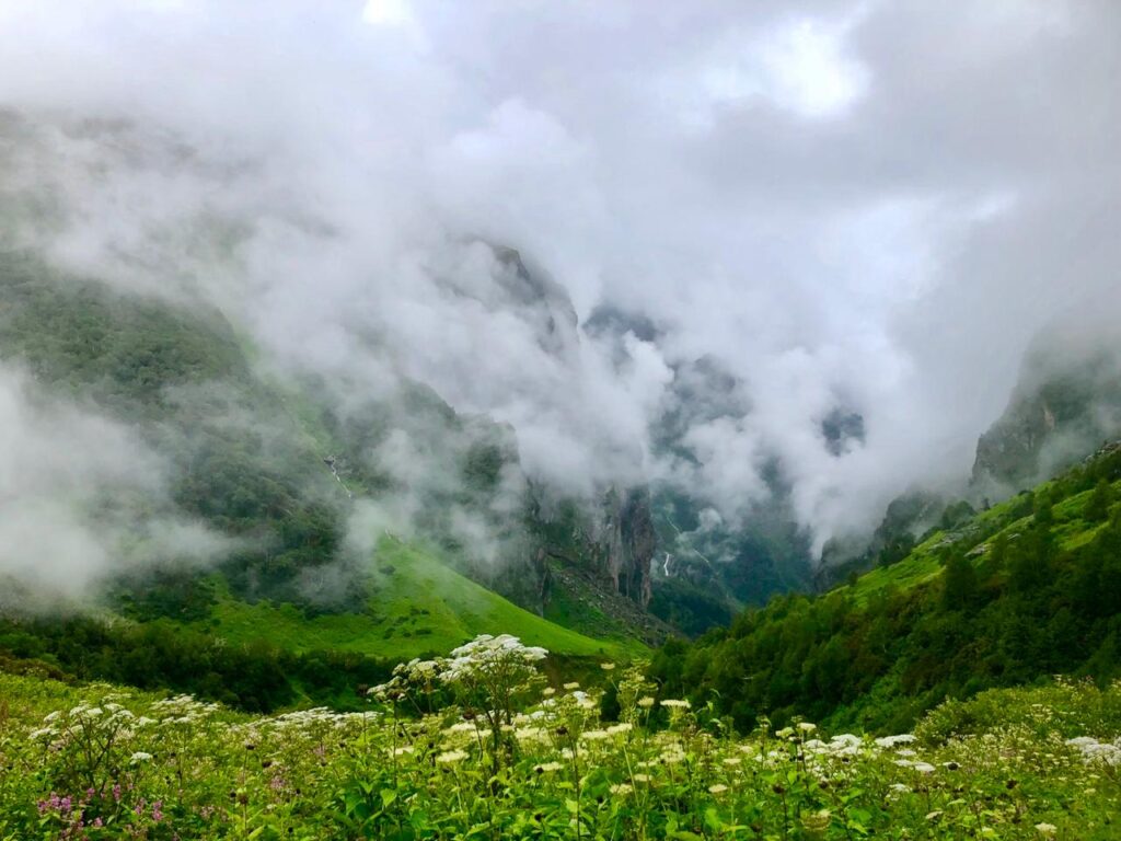 A biosphere system in its own - Valley of Flowers