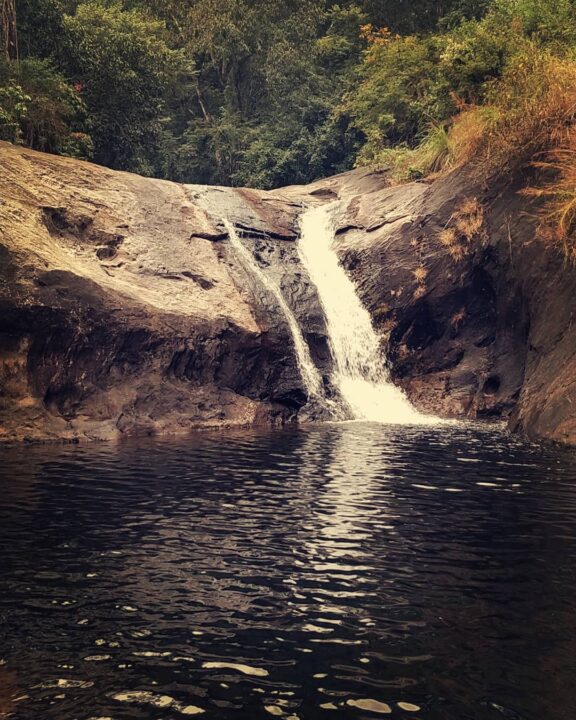 waterfall in a forest of wayanad