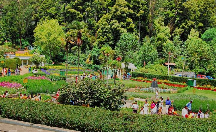 Bryant Park in Kodaikanal