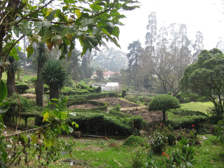 Chettiar Park Kodaikanal