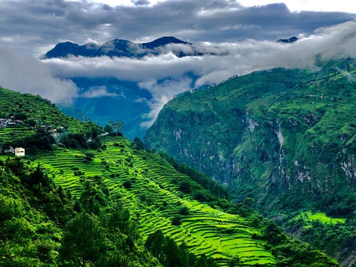 How to reach Valley of Flowers A complete guide Xplore The Earth