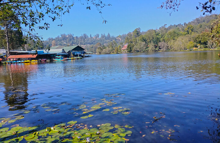 Kodaikanal Lake