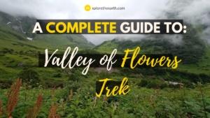 Read more about the article How to reach Valley of Flowers- A complete guide