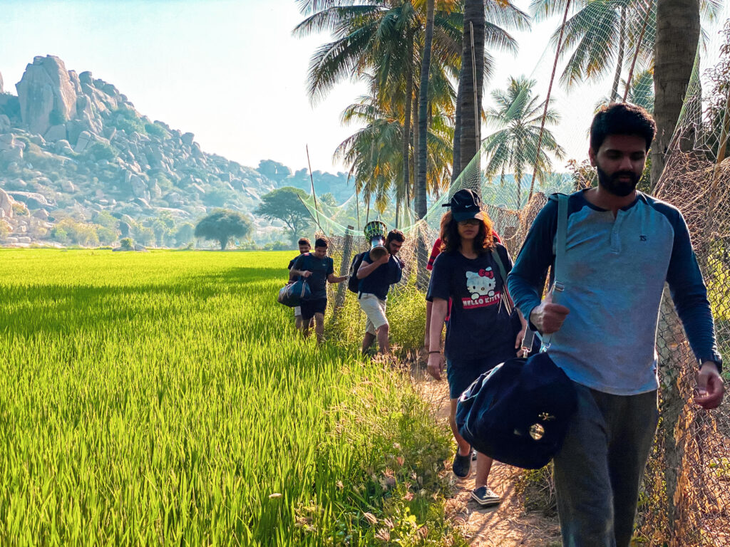 Paddy fields of Hippie Island Hampi xtrips xploretheearth