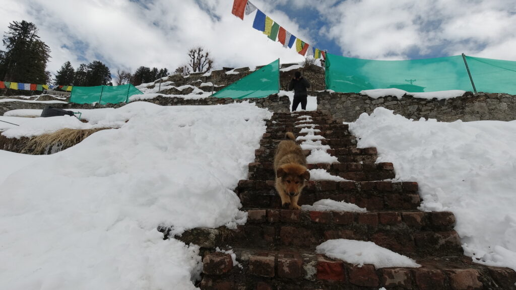 Snow covered pathway in Hamta Valley