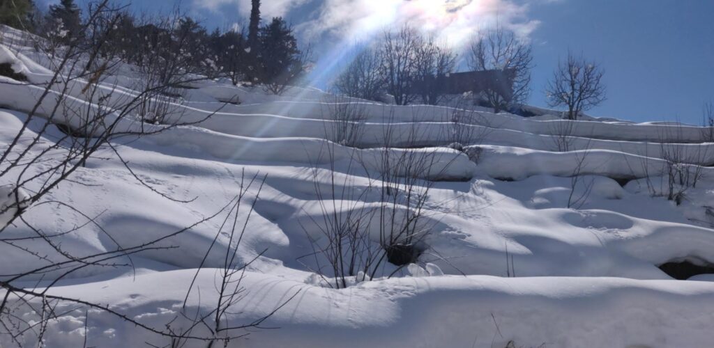 Thorny branches and snow laden hill while trekking in Sethan