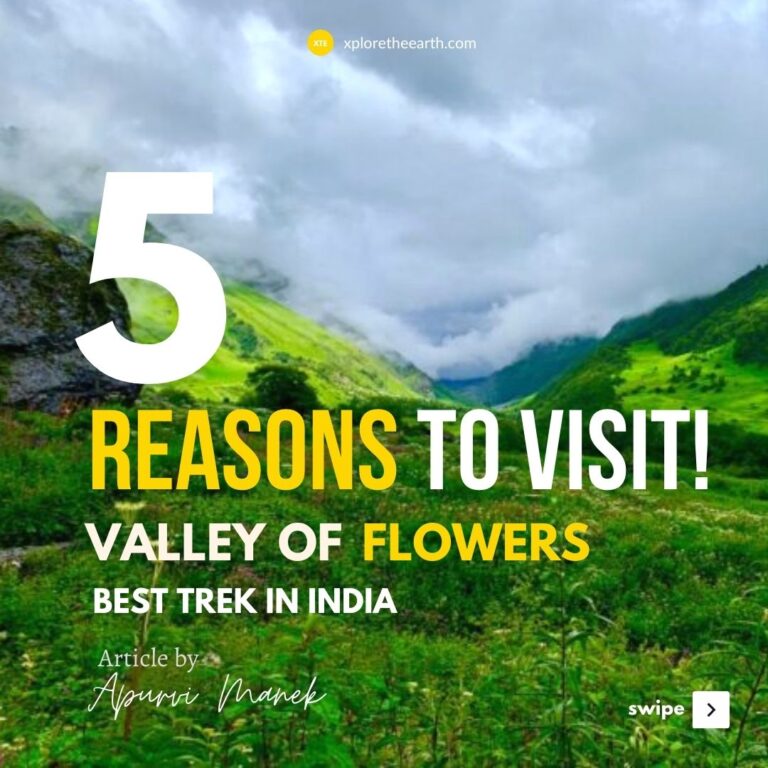 Reasons to Visit Valley of Flowers and why it is the best trek in india blog cover image