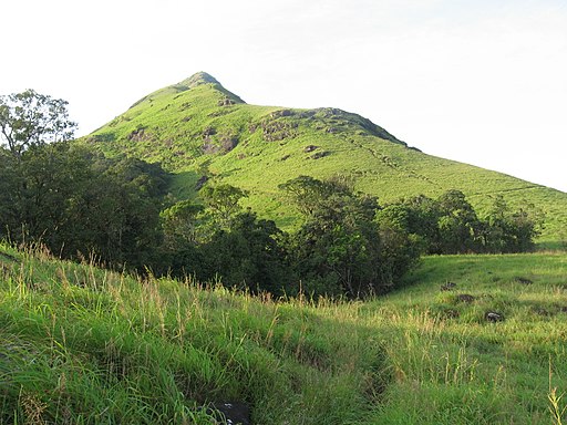 soochipara waterfall wayanad kerala