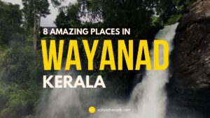 8 amazing places to visit in wayanad, kerala