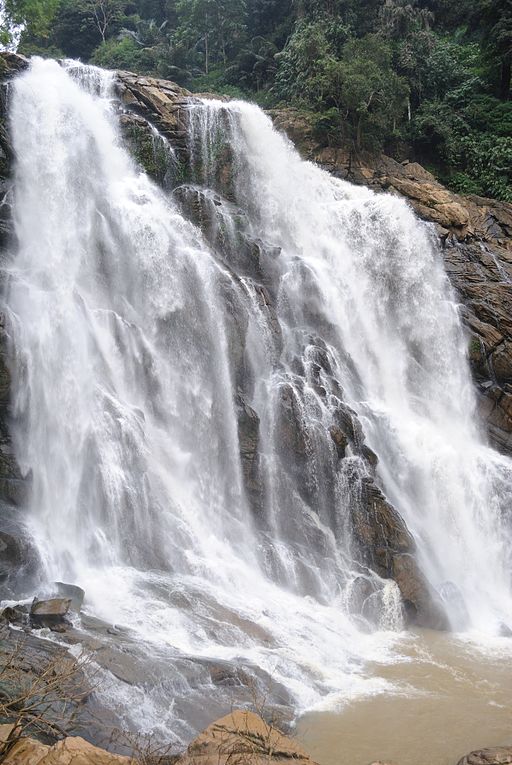 Meenmutty Falls Wayanad