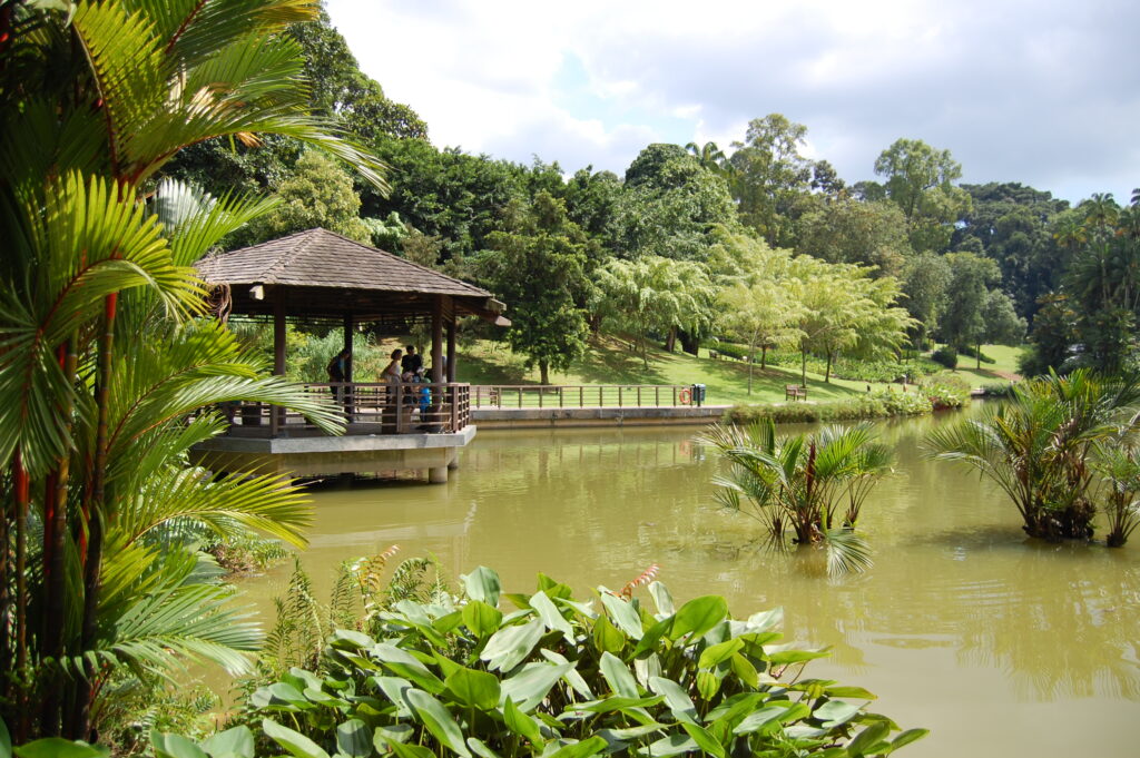 Singapore Botanic Gardens (Exploring Singapore - Best Places to Visit)