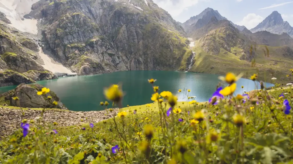 Lake With the Flowers in the Foreground and Mountains in the Backdrop - How Difficult is the Kashmir Great Lakes Trek?