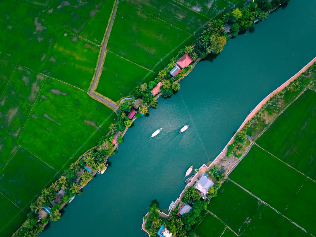 top-down drone shot of 2 boats in backwaters of alleppey surrounded by coconut trees and rice paddies