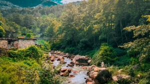 Valley of Flowers Trek - Uttarakhand Treks