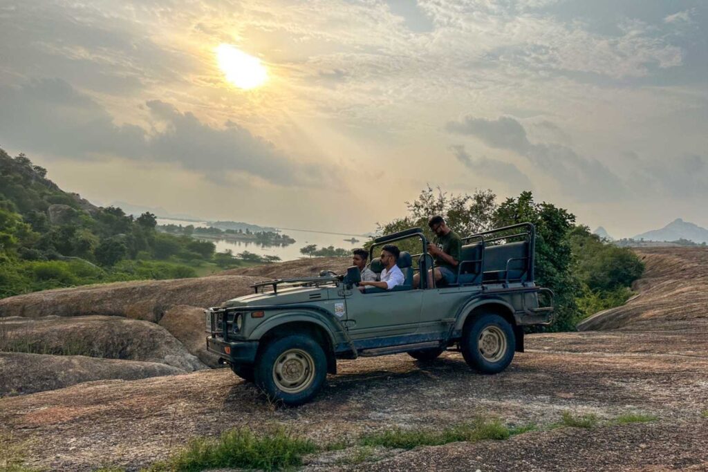 Jawai Leopard Safari – Extended Udaipur Itinerary