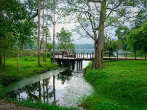 a wooden bridge going over a water canal and meeting in the lake surrouunded by trees