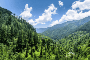 Lush Green Tirthan Valley